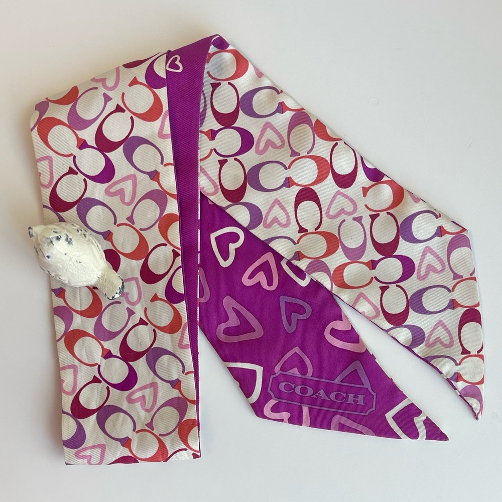 COACH Silk Skinny Scarf Twilly